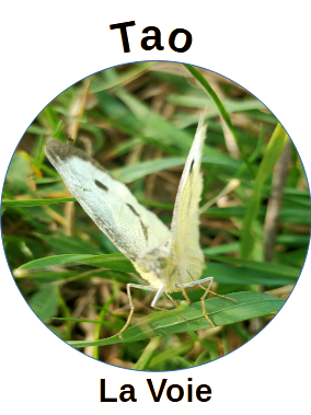 Logo papillon def 2