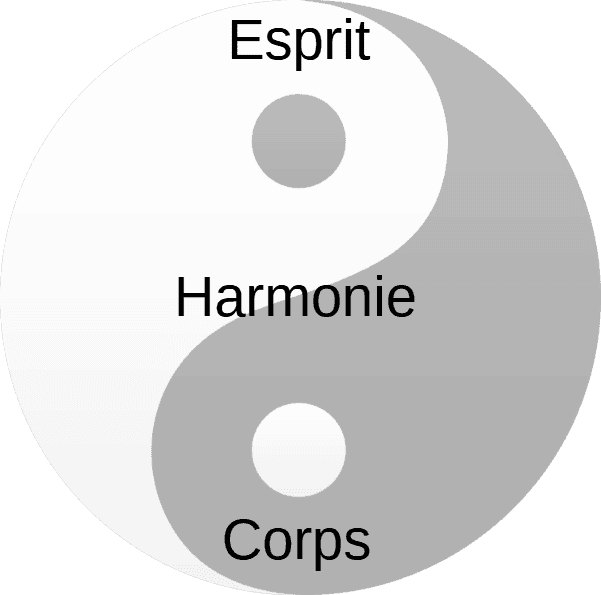 Yin Yang — harmonie